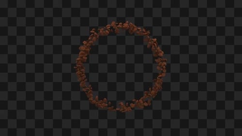 Granos de café giratorios en Alpha