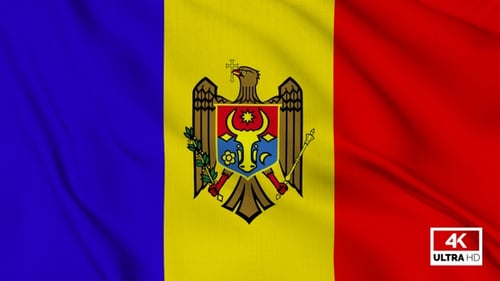 Moldova National Flag Waving Vertical Loop