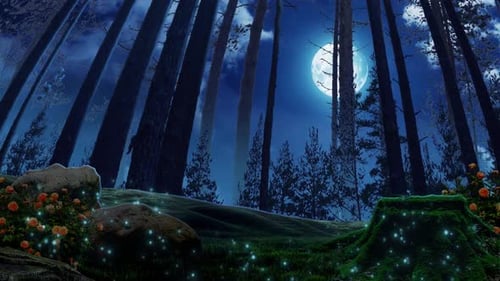 Forest At Night