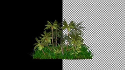 Nature Scene with Palm Trees, Alpha Channel, Looped Rotation, Exclusive, 3D Render, Unique Design