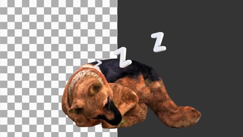 3D Animation of Sleeping Cute Dog | Alpha Channel