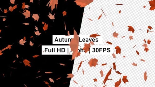 Autumn Leaves Alpha