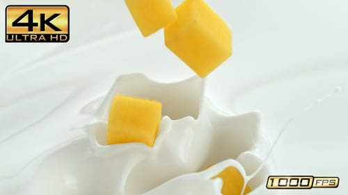 Diced mango cubes splashing into creamy white liquid