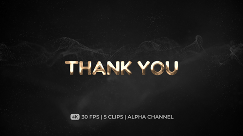 Shiny Metallic Thank You Text Reveal Animation