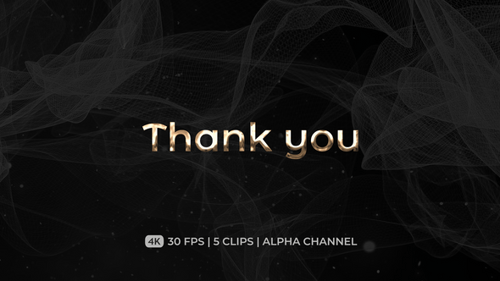 3D Gold Metallic Thank You Text Message Reveal