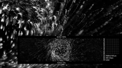 Abstract Vortex Flower Particles