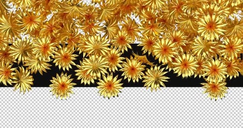 3D-Übergangsanimation mit goldenen Blumen