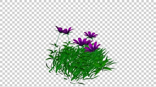 Animated Green Grass and Purple Flowers Swaying Gently