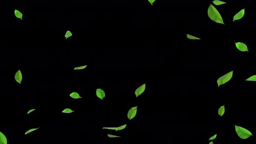 Falling Green Leaves Nature Overlay