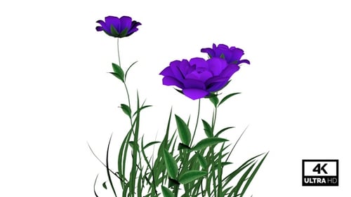 Artistic Purple Flowers and Green Grass Animation