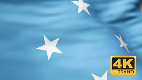 Realistic Waving Flag Motion Background