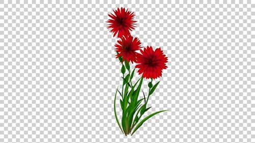 Animated Red Flowers Swaying Nature Element