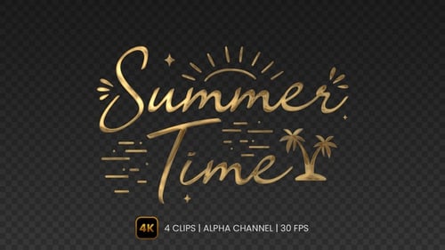 Animated Summer Time Title with Decorative Elements