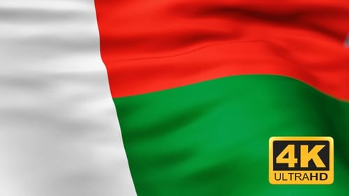 Realistic Seamless Loop of Madagascar Flag Waving