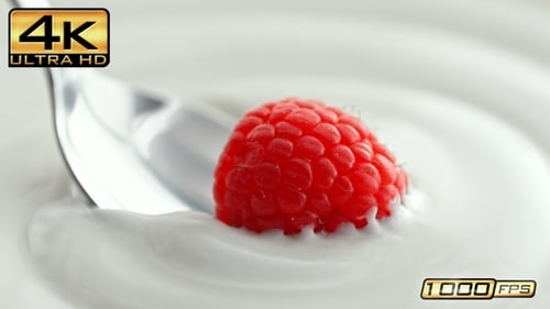 Fresh Raspberry with Yogurt on a Spoon Close-up