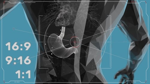 Paquete de escáneres HUD UI de estómago humano