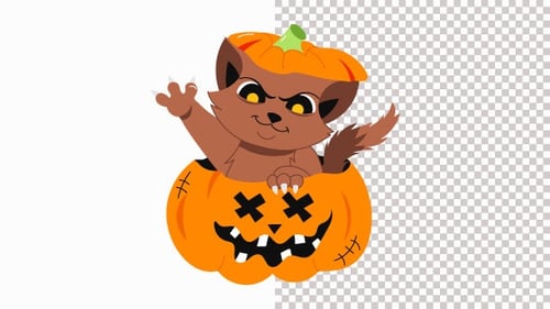 Scary Cat In Pumpkin Costume Animation Alpha Channel