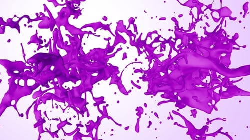 Purple Paint Splash Collision