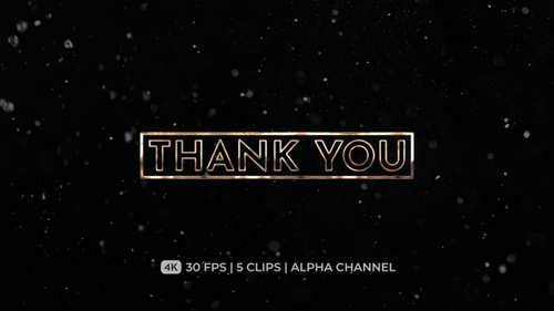 Animated Thank You Text Outlines Transition Pack