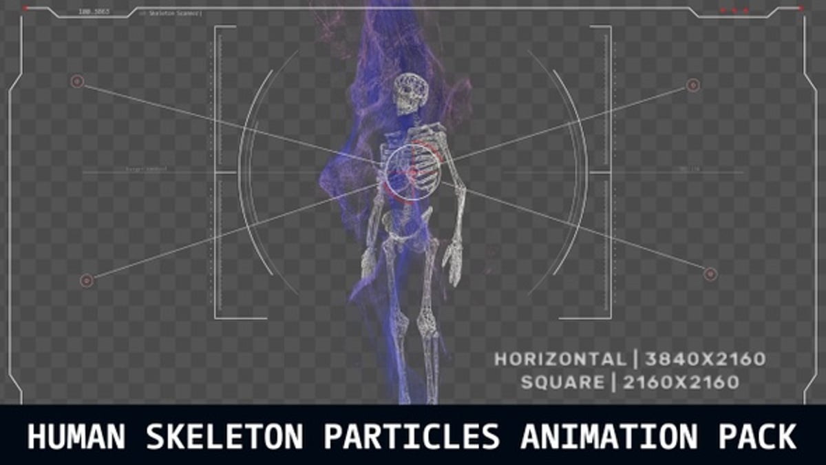 Human Skeleton HUD UI Particles Pack, Backgrounds Motion Graphics ft ...