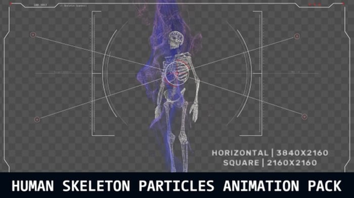 Human Skeleton HUD UI Scanners Pack, Backgrounds Motion Graphics ft ...