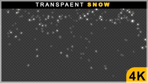 Sparkling White Particles Falling Overlay Effect