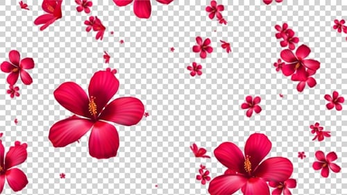 Flower Falling Alpha