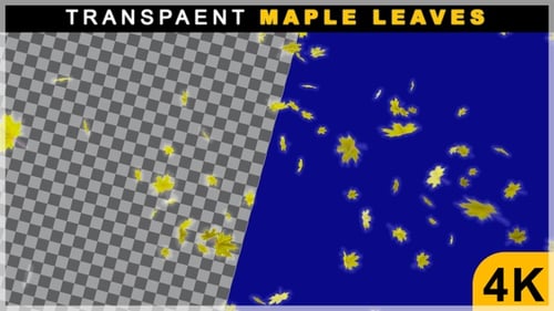 Falling Autumn Yellow Maple Leaves Overlay