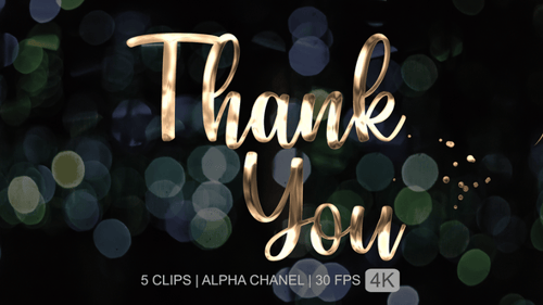 Elegant Gold Metallic Thank You Text Reveal Animation