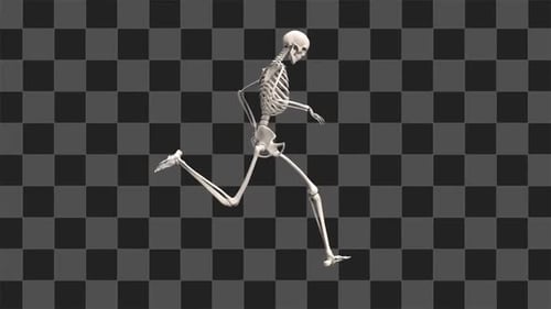 Running Skeleton 3D Animation Alpha Channel