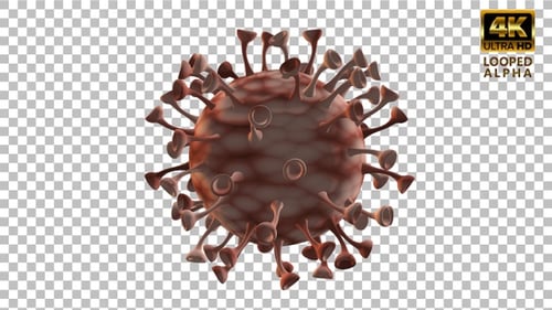 3D Animated Virus Rotating for Medical and Science Projects