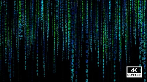 Boucle d'arrière-plan de Matrix Rain Code