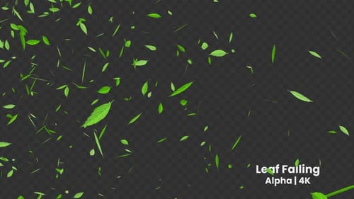 Green Leaf Falling Alpha