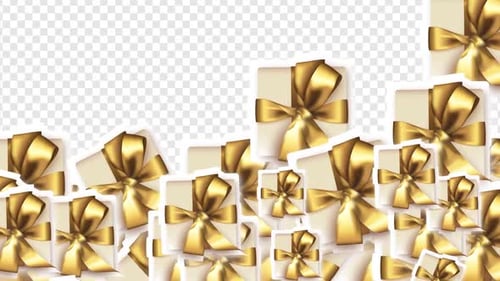 Golden Gift Box Celebration Transition