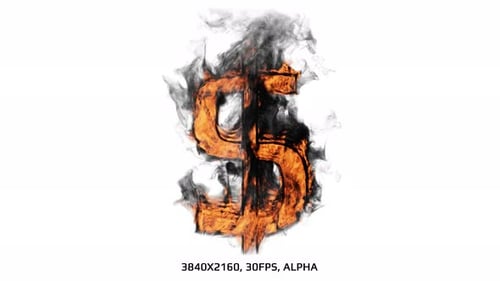 Burning Fire Smoke Dollar