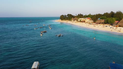 Beach. Tropical nature landscape with palm trees, people, sand, blue water. Drone view from air.