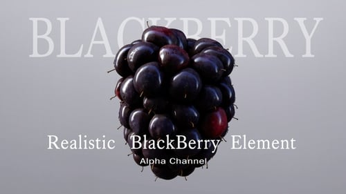Realistic BlackBerry Element Nature