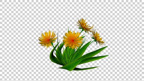 Animated Yellow Flowers with Green Leaves Swaying on Transparent Background