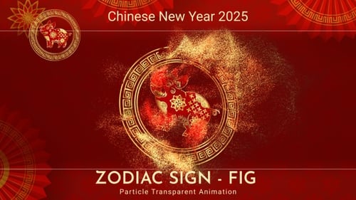 Chinese New Year Golden Pig Zodiac Reveal Animation