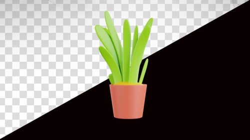 3D Animation of Pot Plant