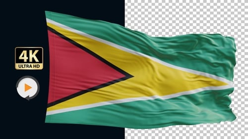 Realistic Waving Guyana Flag Animation on Alpha Channel