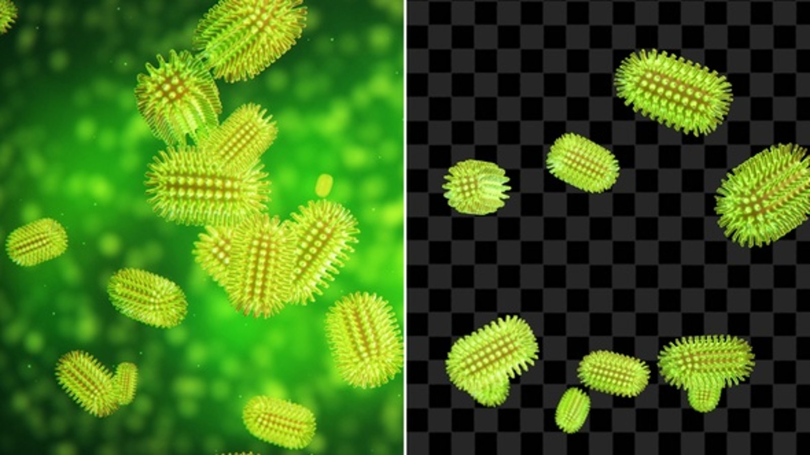 Rabies Lyssavirus With Alpha Channel, Backgrounds Motion Graphics ft ...