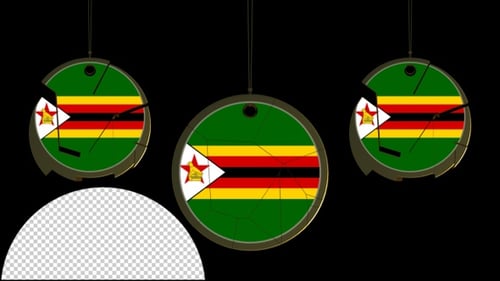 Zimbabwe National Flag Circle Reveal Animation