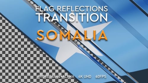 Modern Glossy Bars Transition