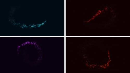Glowing Particle Light Trail Reveal