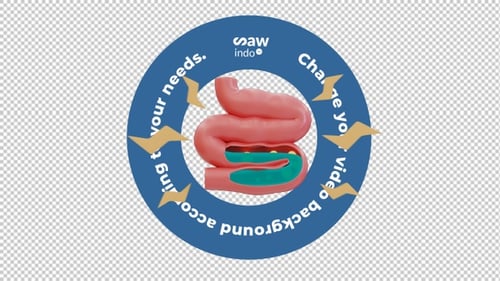 3D Animation Intestines Disease - Transparent Background Loop