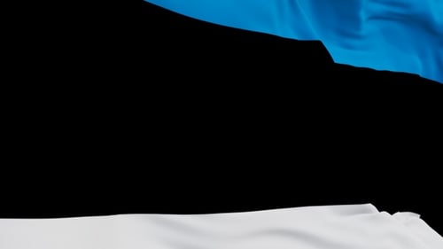 Realistic Waving Estonian Flag Vertical Element
