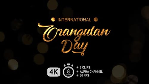 Golden Script Text Reveal for International Orangutan Day