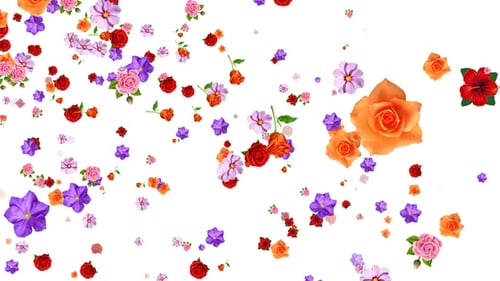 Blumen fallen Seamless Loop Alpha V2