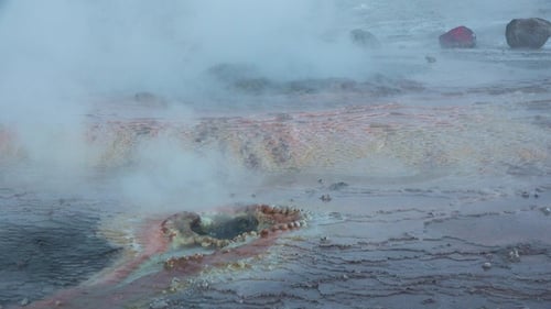Explorez les caractéristiques géothermiques du parc national de Yellowstone par temps clair